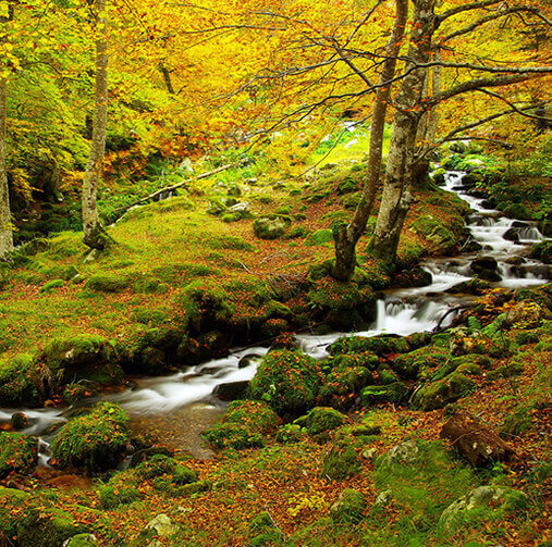 Parque Natural de Redes